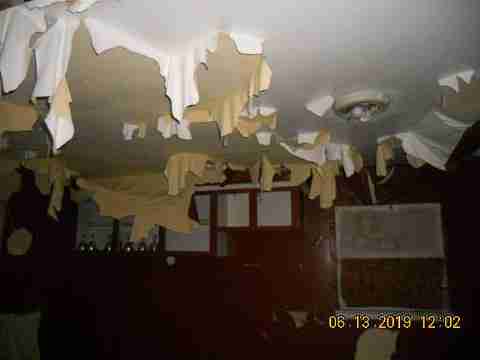 15017 Dolphin (10)_m.jpg